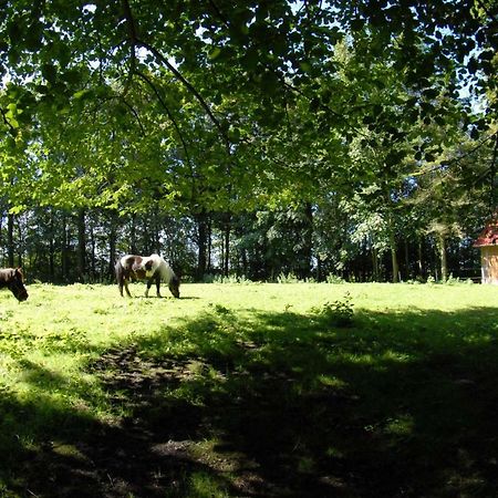 Hof Olde Warft Lejlighed Oldenswort Eksteriør billede